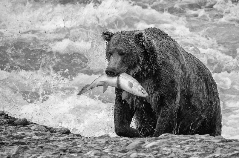 Fishing in alaska