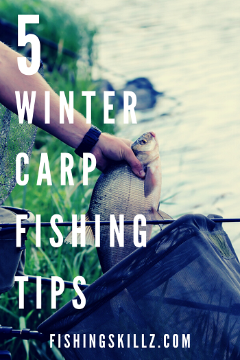 winter carp fishing tips and techniques