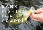 fishing tips for fishing for crappie from the bank
