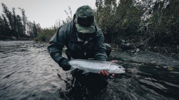 how to catch steelhead from the bank